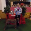 RR-Sonderschau: Best in Show