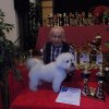 Best in Show / Kleinrasse