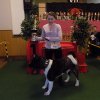Best Junior in Show / Großrasse