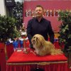 Best in Show / Kleinrasse