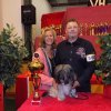 Best in Show / Kleinrasse