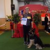 Best in Show / Grossrasse