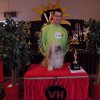 Best in Show / Kleinrasse