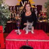 Best Puppy in Show / Kleinrasse