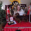 Best in Show / Kleinrasse